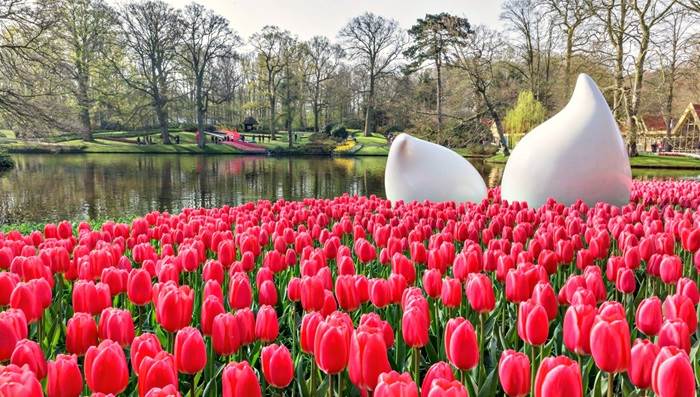 keukenhof-gardens